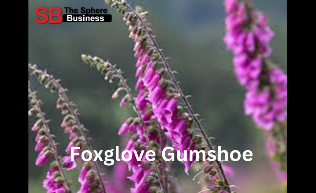 Foxglove Gumshoe