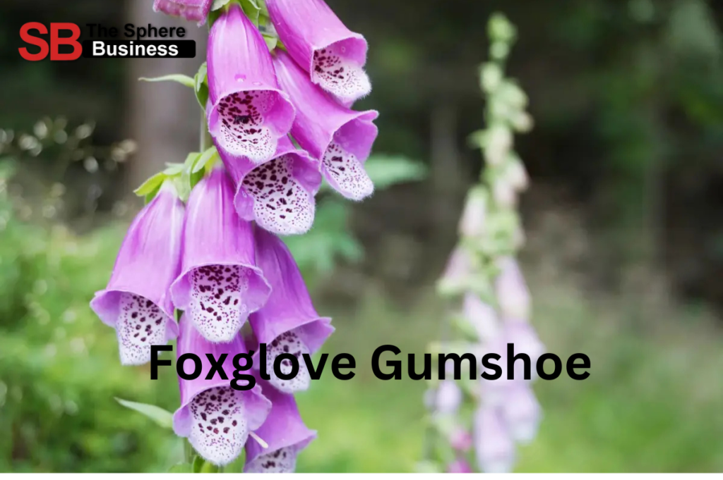 Foxglove Gumshoe: A Deep Dive into a Unique Phrase Foxglove Gumshoe