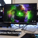 Nothing2Hide Net Gaming