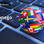 Cinnego: An Overview of the Unique English Keyword Cinnego