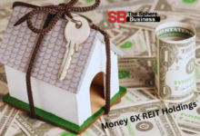 Money 6X REIT Holdings