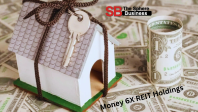 Money 6X REIT Holdings