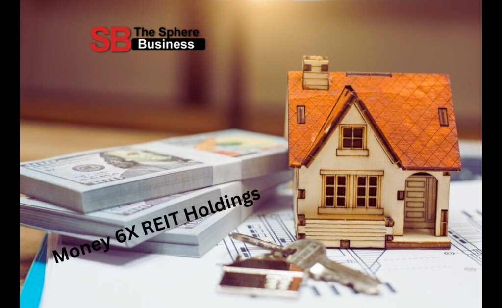 Money 6X REIT Holdings