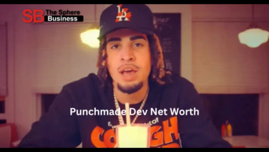 Punchmade Dev Net Worth