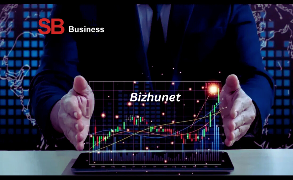 Bizhunet