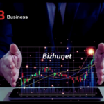 Bizhunet