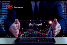 Bizhunet