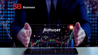 Bizhunet