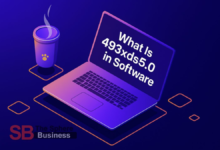 What is 493xds5.0 in Software