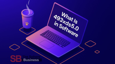 What is 493xds5.0 in Software