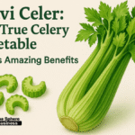 Pravi Celer