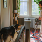Deep Cleaning Tips